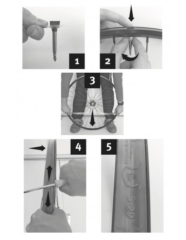 Effetto Mariposa - Ultime Vélo