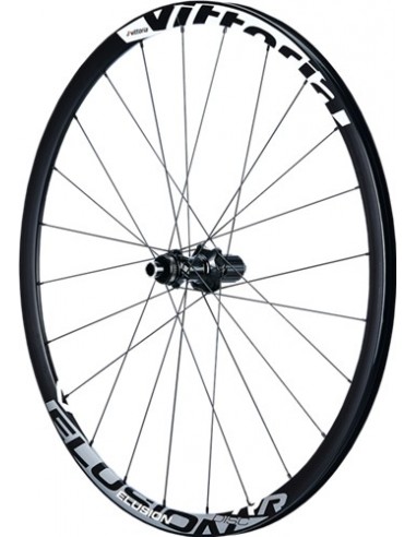 Ruote in carbonio VITTORIA Elusion disc 42 mm copertoncino