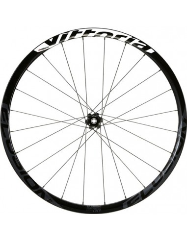 Ruote in carbonio VITTORIA Elusion disc 42 mm copertoncino