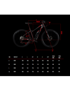 Vendita MTB 29\