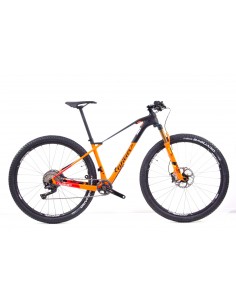 Vendita MTB 29\