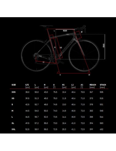 Bici da corsa in carbonio WILIER GTR TEAM Shimano Ultegra 2021