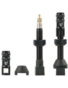 Coppia valvole tubeless... 2