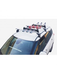 Portasci per barre da tetto... 2