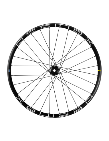 Ruote EBIKE MTB MAVIC E-DEEMAX 29\