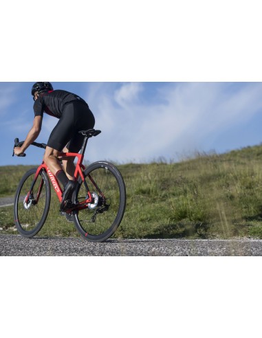 Pantaloncini bici ciclismo WILIER RIGO