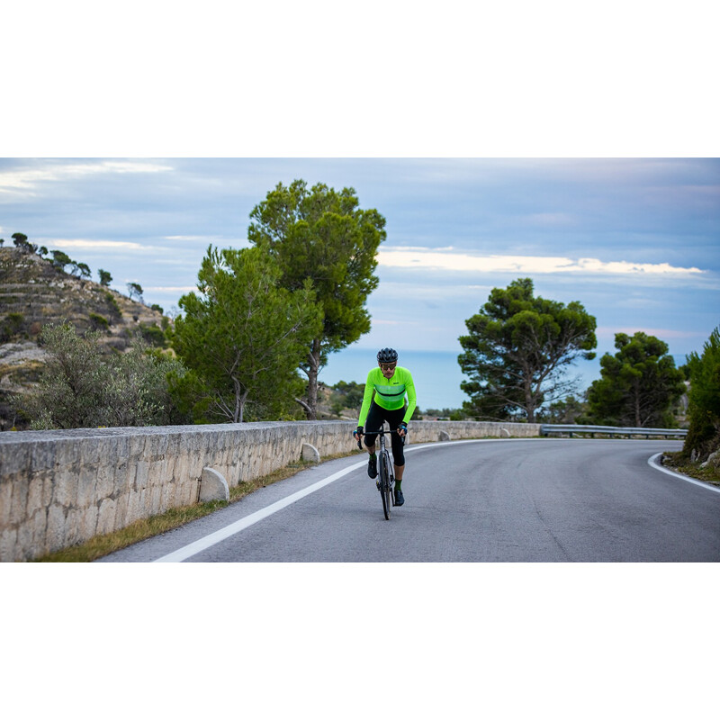 SANTINI Maglia ciclismo SANTINI ECOSLEEK BENGAL maniche lunghe VF