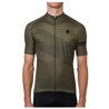AGU Maglia bici ciclismo AGU STRIPED  manica corta verdone