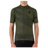 AGU Maglia bici ciclismo AGU STRIPED  manica corta verdone