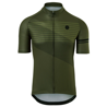 AGU Maglia bici ciclismo AGU STRIPED  manica corta verdone