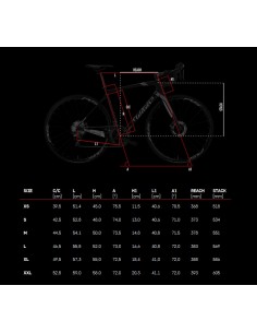 Bici da corsa carbonio WILIER GTR TEAM 105 2019 disco 2