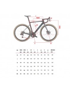 Bici in carbonio gravel... 2