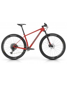 MTB MEGAMO in carbonio...