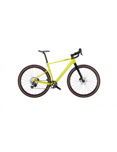 Bici in carbonio gravel... 2