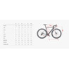 WILIER Bici in carbonio gravel WILIER RAVE SL GRX 1X12 Miche Graff XL SOTTOCOSTO