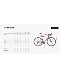 Bici da corsa in carbonio... 2