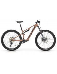 MTB e-bike biammortizzata...