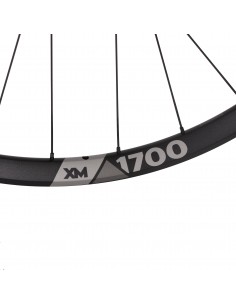 Ruota posteriore MTB Dt... 2