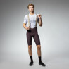 ALE' Pantaloncini ciclismo ALE' MASTER 2.0 PR-E brownie 2026