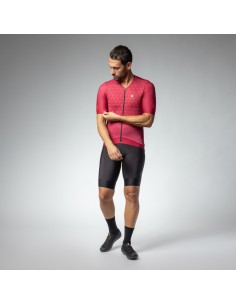 Maglia ciclismo ALE' QUICK...