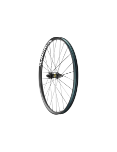 Ruota posteriore EBIKE MTB... 2