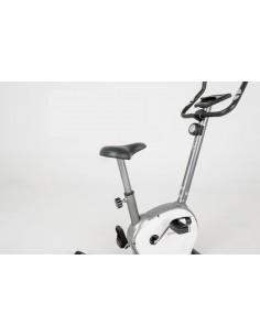 Cyclette Everfit BFK-550... 2