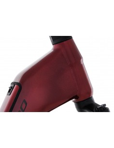 MTB e-bike MEGAMO Reach LOW... 2