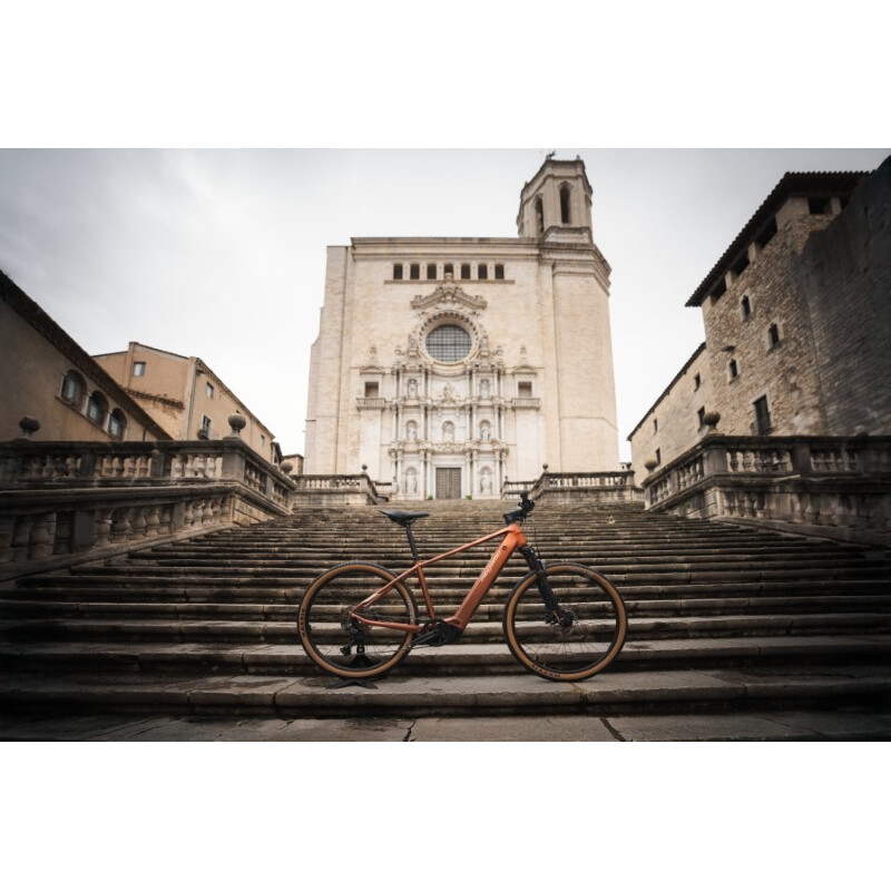 Megamo MTB e-bike MEGAMO Reach HT 05 SUV BOSCH Performance Line CX 800 Wh 11v
