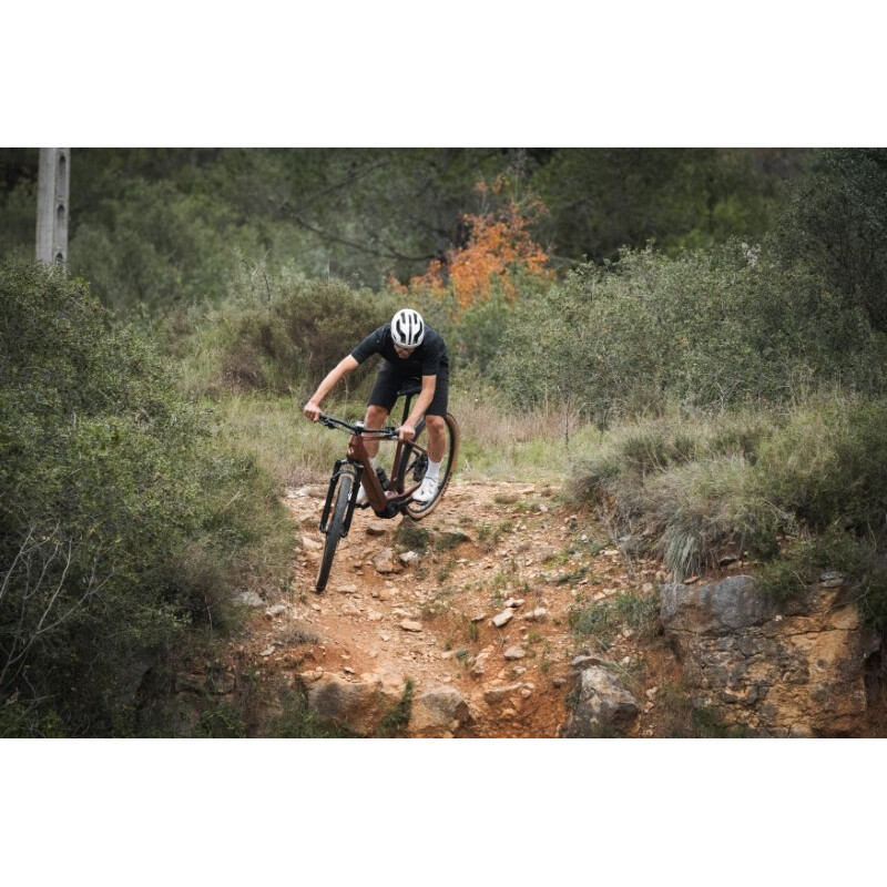 Megamo MTB e-bike MEGAMO Reach HT 10 BOSCH Performance Line CX 600 Wh 10V
