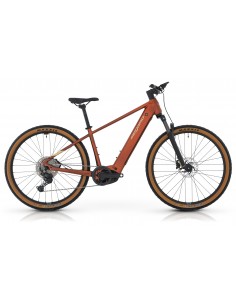 MTB e-bike MEGAMO Reach HT... 2