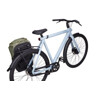 Thule Zaino Thule Paramount Hybrid Pannier 26L - Soft Green 3205092