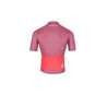 WILIER Maglia bici ciclismo WILIER BREZZA CORAL