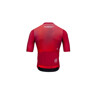 WILIER Maglia bici ciclismo WILIER uomo AURORA CHERRY RED