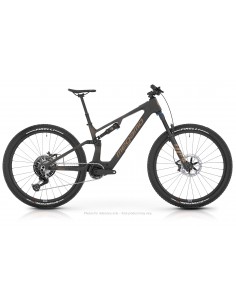 MTB e-bike biammortizzata...