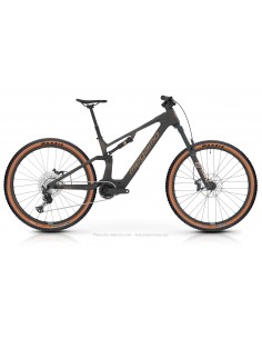 MTB e-bike biammortizzata...