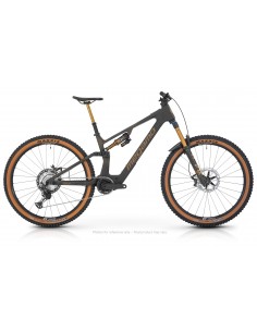MTB e-bike biammortizzata...