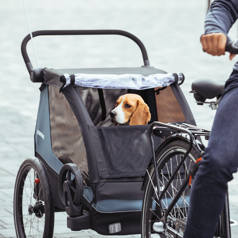 Thule Accessorio per carrellino THULE Thule Courier dog trailer kit per trasporto cani