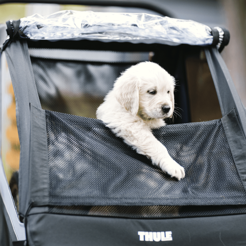 Thule Accessorio per carrellino THULE Thule Courier dog trailer kit per trasporto cani