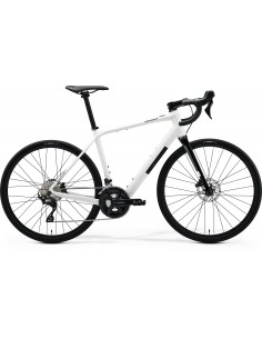 Bici in alluminio ebike...