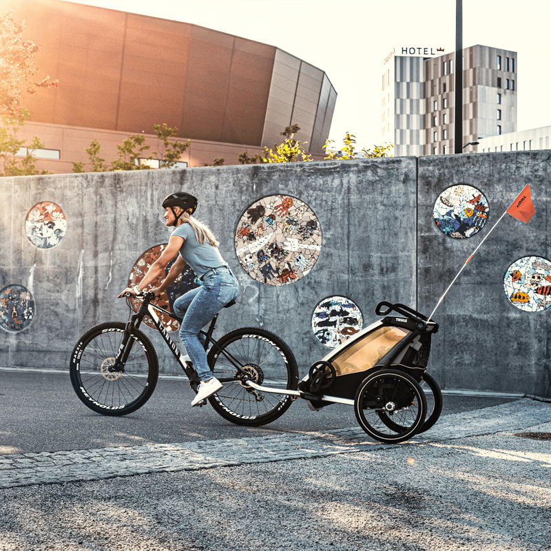 Thule Carrellino rimorchio bici per bambino THULE Chariot Lite single vintage green