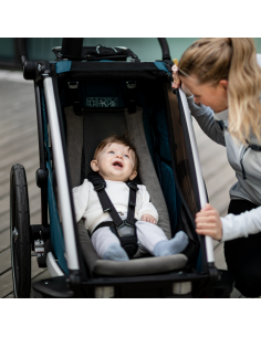 Accessorio per carrellino... 2