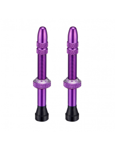 Coppia valvole tubeless...