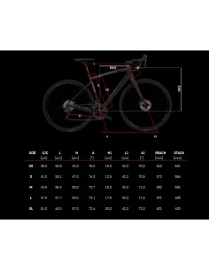Bici in carbonio gravel... 2