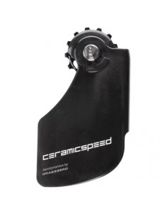 Sistema di Pulegge Cambio...