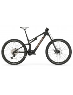 MTB e-bike biammortizzata...