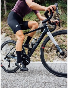 Bici Gravel Performance WILEIR Rave SL GRX 2x12 2