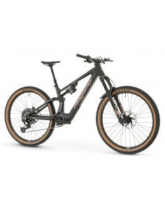 MTB e-bike biammortizzata...