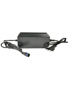 Mahle X20 Smart Charger 4A – Caricabatterie Rapido Intelligente per e-Bike