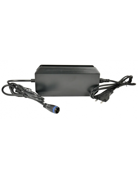 Mahle X20 Smart Charger 4A – Caricabatterie Rapido Intelligente per e-Bike