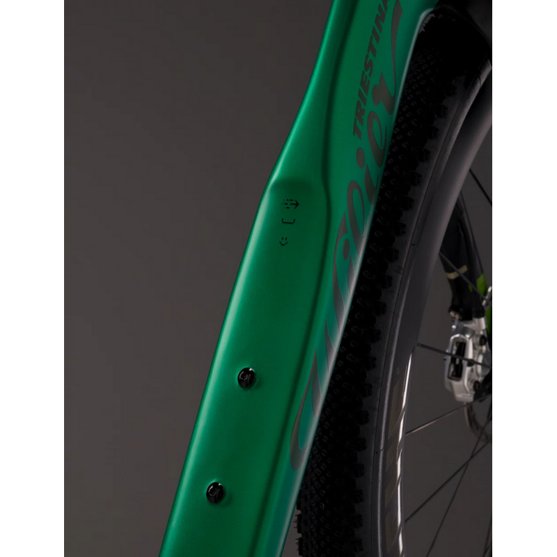 WILIER Bici in carbonio gravel WILIER RAVE SLR ID2 RIVAL E1 1X13 Miche GRAFF ALLROAD carbon